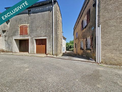 photo no. 10