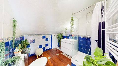 photo no. 12