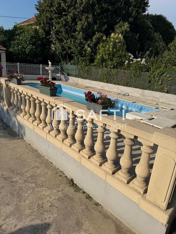 photo no. 11