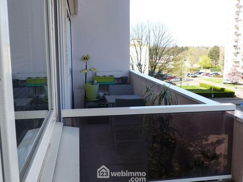 photo no. 8