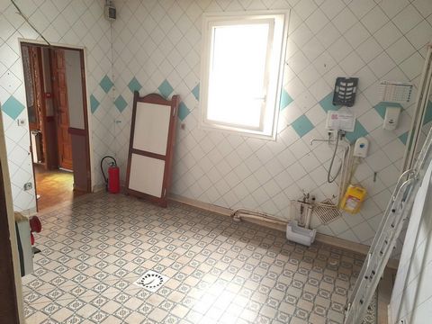 photo no. 5