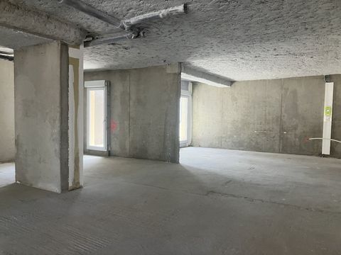 photo no. 6
