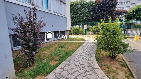 photo no. 12