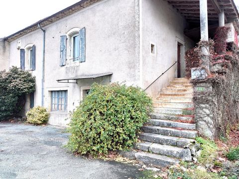 photo no. 8