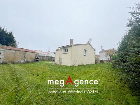 photo no. 5