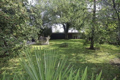 photo no. 17