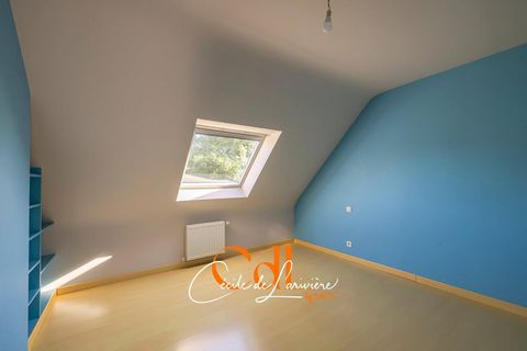 photo no. 10