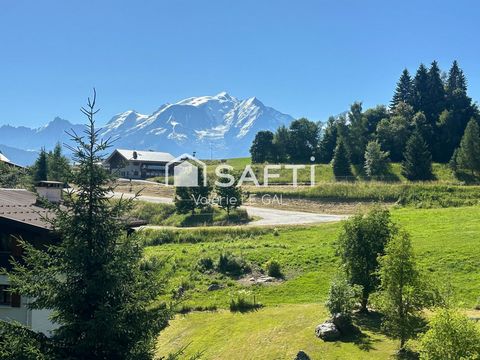 Vue Mont-Blanc - pied des pistes