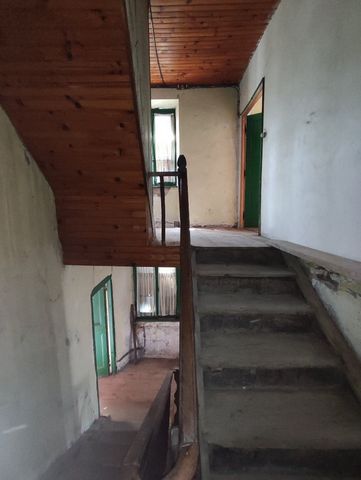 photo no. 13
