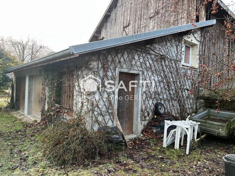 photo no. 13