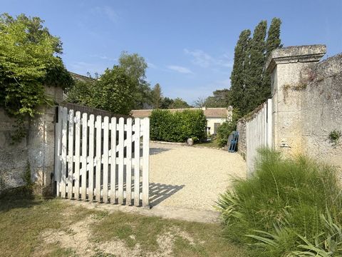 photo no. 5