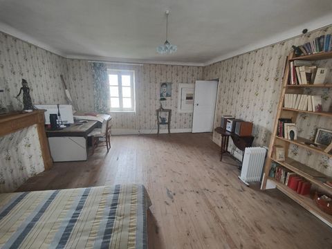 photo no. 21