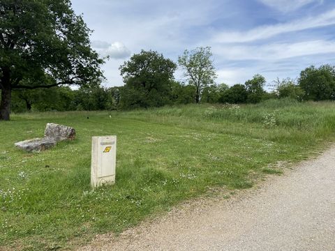 photo no. 1
