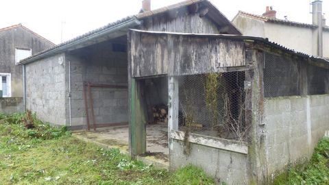 photo no. 2