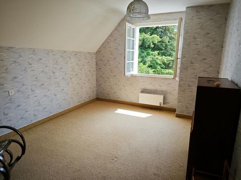 photo no. 8