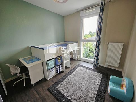 photo no. 8