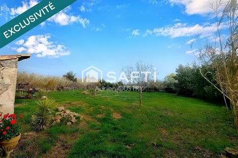 photo no. 1