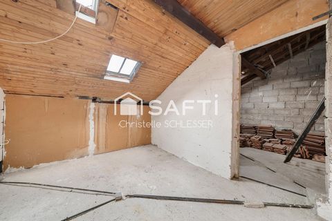 photo no. 14