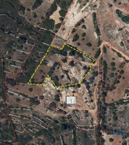 Terreno rústico em Loulé, Trata-se de um lote de terreno rústico, com 4800m2, que se localiza na zona de Pedragosa. Está situado numa zona calma e tranquila e desfruta de uma vista desafogada. O acesso é feito através de uma estrada alcatroada até um...