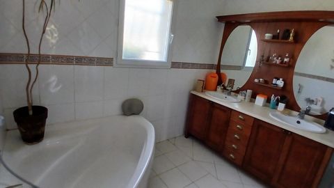 photo no. 6