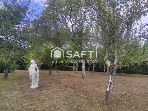 photo no. 19