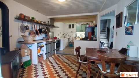photo no. 11