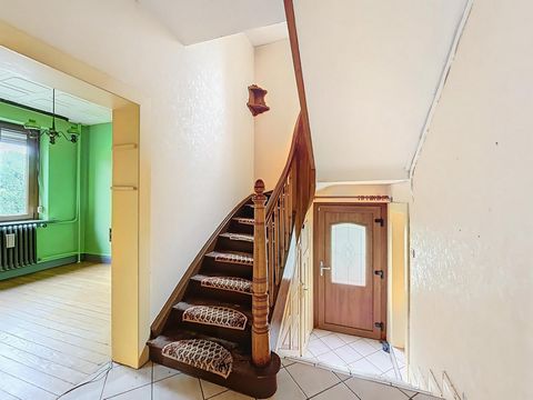 photo no. 6