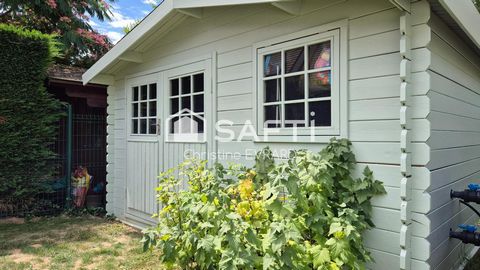 photo no. 19