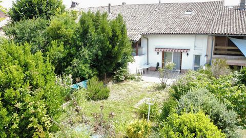 photo no. 12