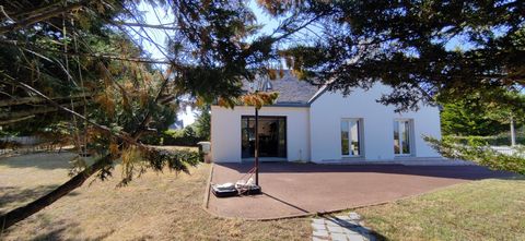 photo no. 12