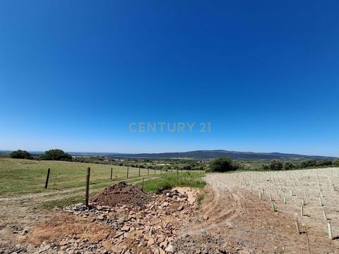 Superficie total: 52.500 m² | Superficie de construcción propuesta: 5.259 m² Capacidad: 120 camas | Piscina | Restaurante | Complejo deportivo Presentamos una oportunidad única para inversores y promotores turísticos: un terreno de 52.500 m² situado ...