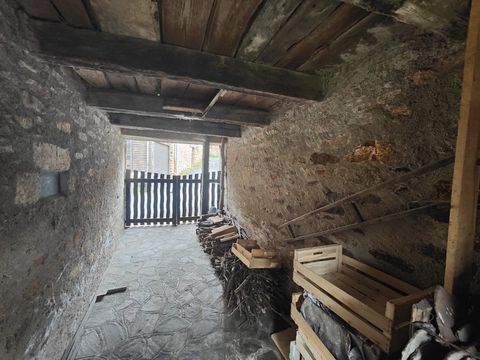 photo no. 23