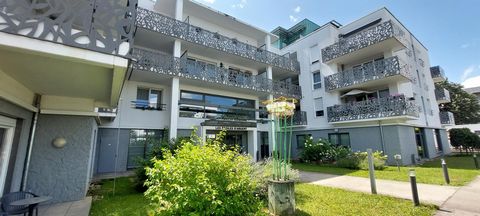 photo no. 11