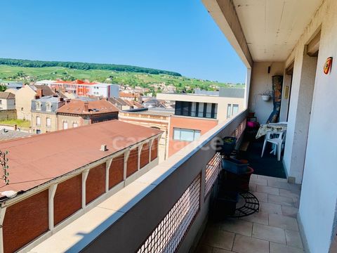 Appartement T2 à Epernay (51) avec vue sur le vignoble