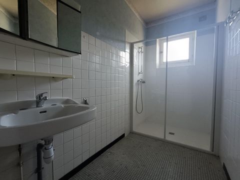 photo no. 12