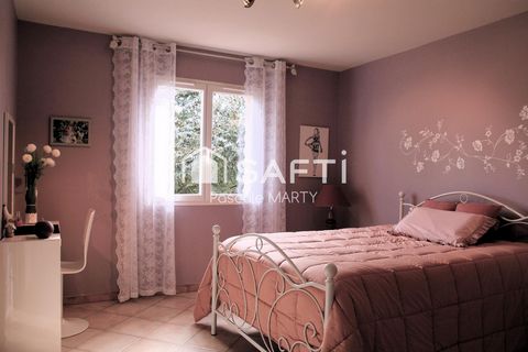 photo no. 8