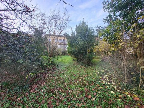 photo no. 15