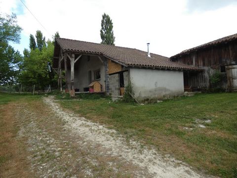 photo no. 1