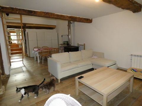 photo no. 4