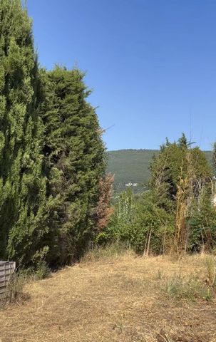 photo no. 16