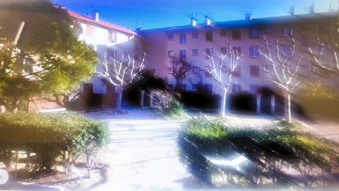 photo no. 5
