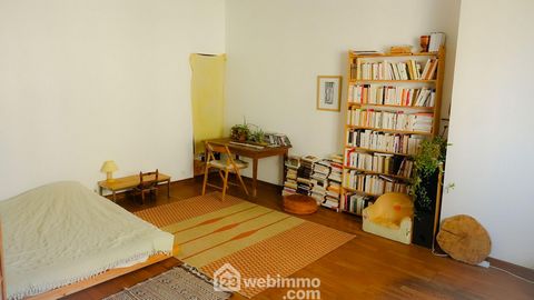 photo no. 4