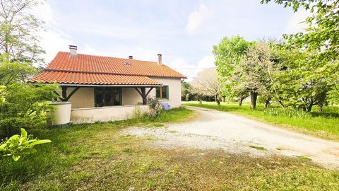 photo no. 18