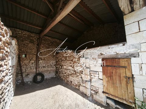 photo no. 11