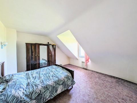 photo no. 9