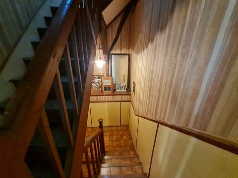 photo no. 15