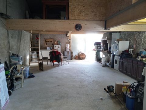 photo no. 8