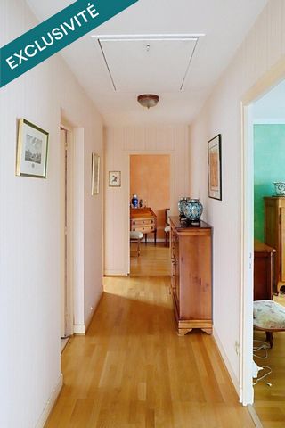 photo no. 7