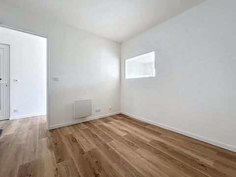 photo no. 7
