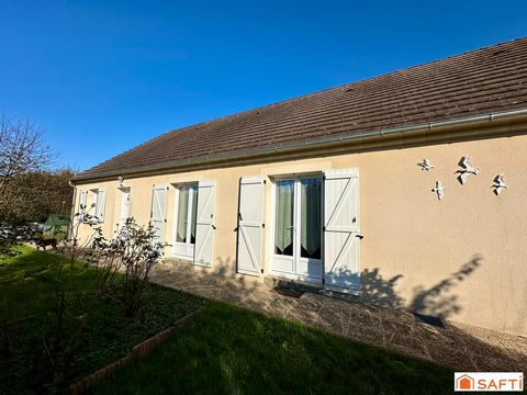 photo no. 12